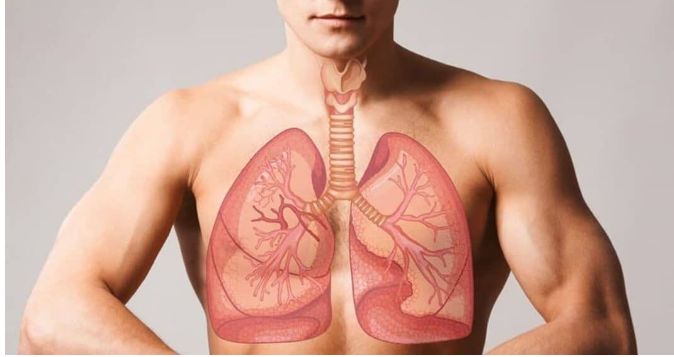 Understand pneumonia affects young and adults and how prevented?