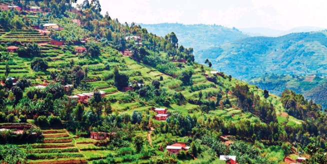 Rwanda: There is a study of how the chaos in land use can be resolved